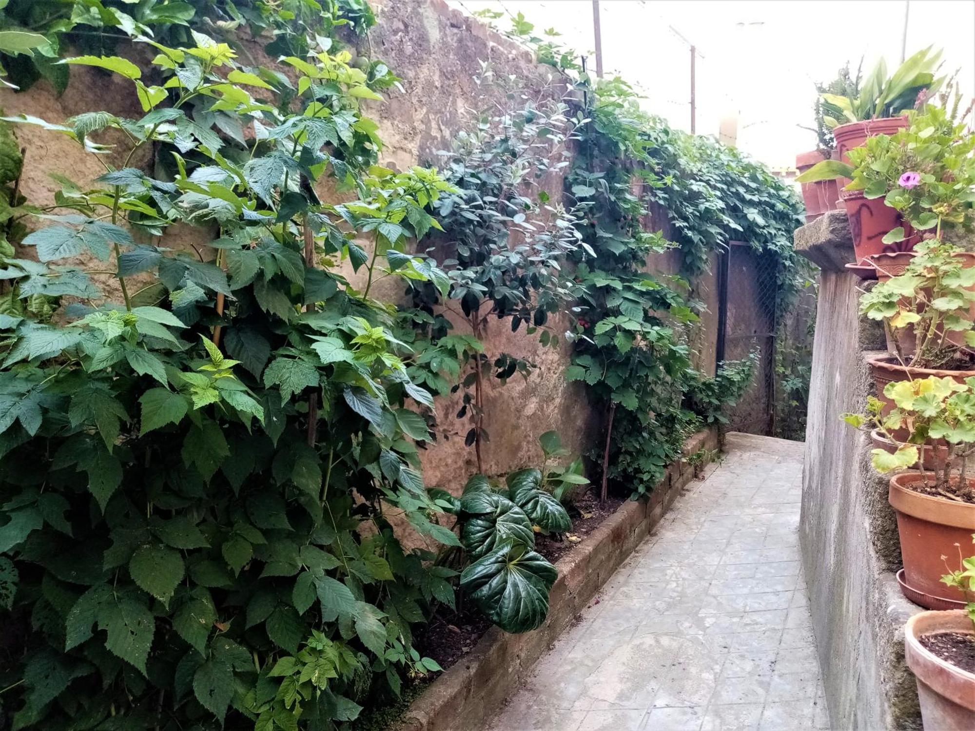 Apartament Casa Da Judiaria Velha Ap Viseu Zewnętrze zdjęcie