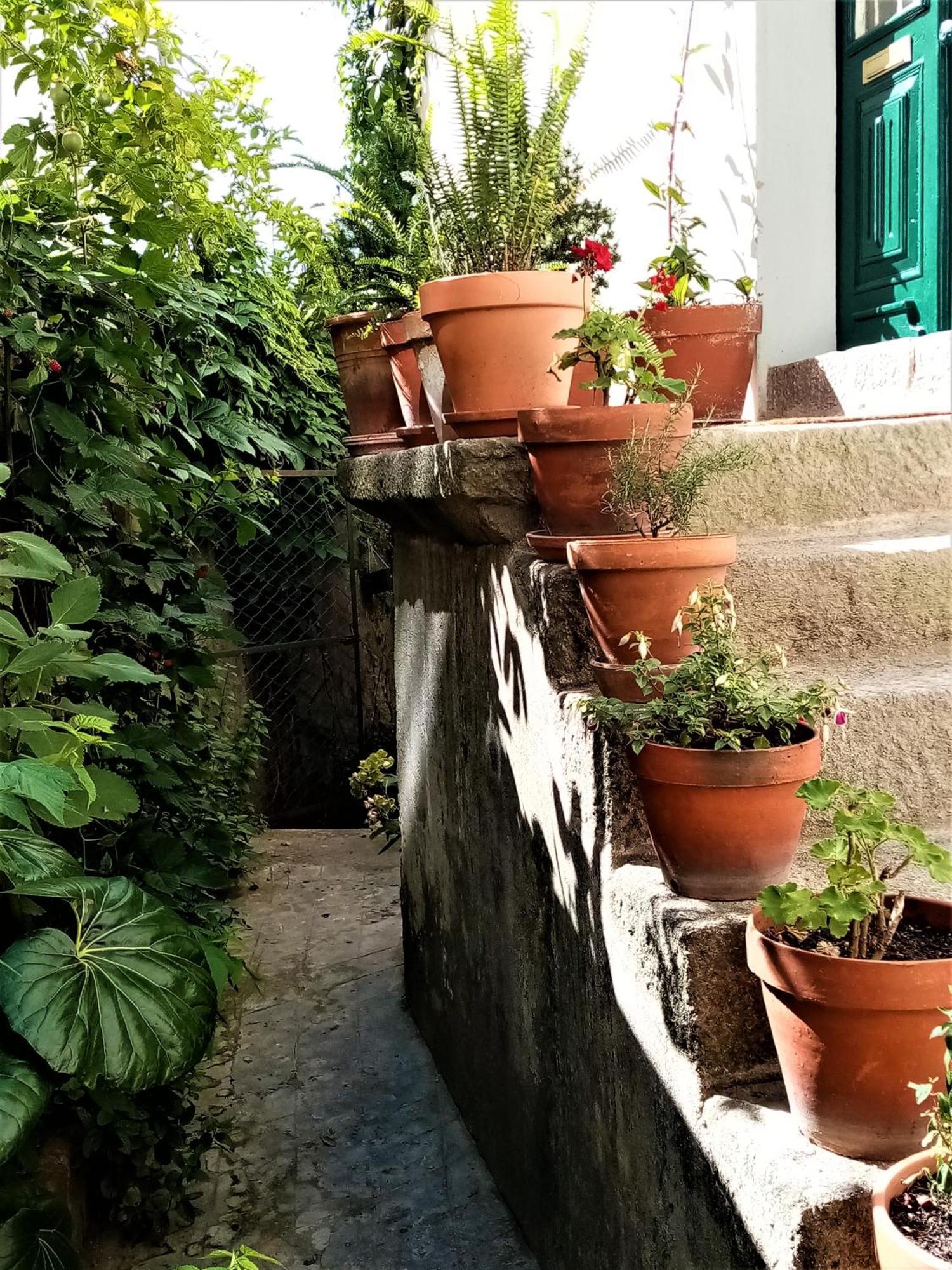Apartament Casa Da Judiaria Velha Ap Viseu Zewnętrze zdjęcie